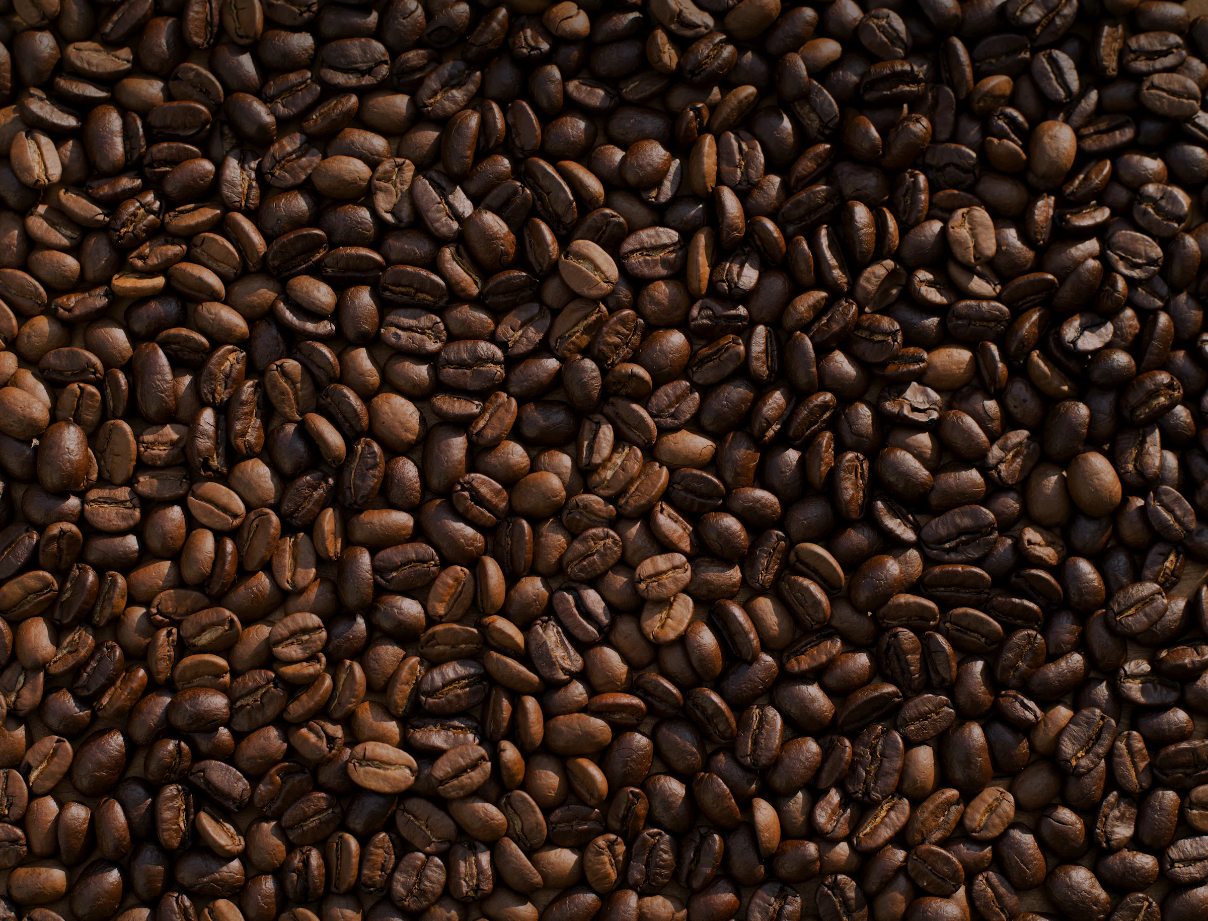 Roasted coffee beans