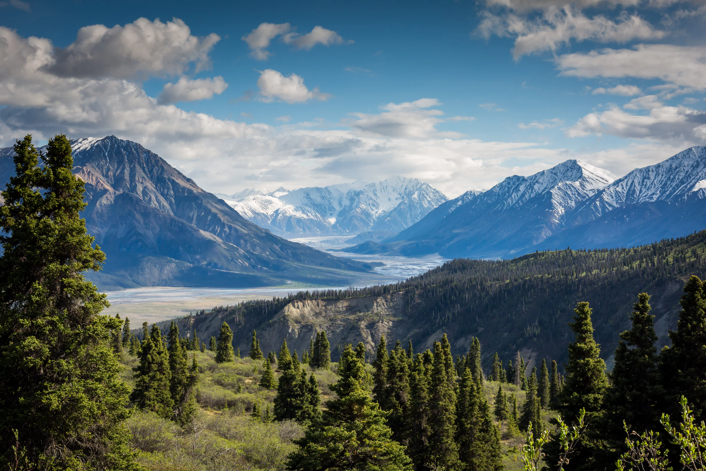 Mist-clad mountains